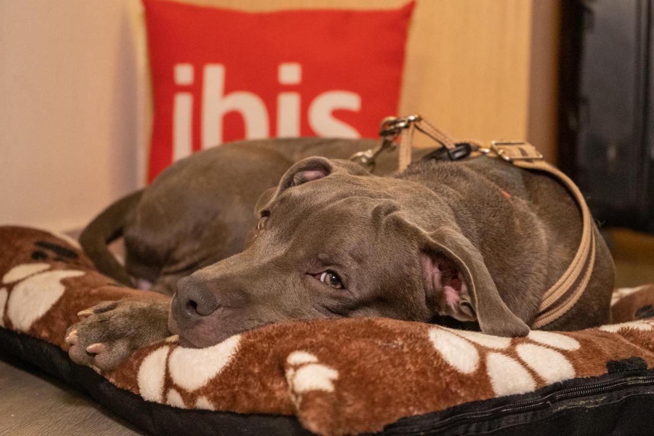 Отель Ibis Cartagena Marbella Экстерьер фото